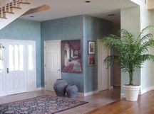 residential entryway with plant